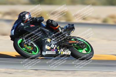 media/Jan-14-2024-SoCal Trackdays (Sun) [[2e55ec21a6]]/Turn 4 Tree of Life (155pm)/